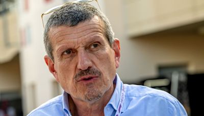 Former Haas F1 Team Principal Guenther Steiner Sues Haas Over Back Pay, Image Use