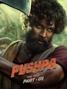 Pushpa: The Rise