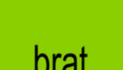 « Brat » : quelle est cette expression adoptée par Kamala Harris et d’autres stars cet été ?