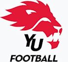 York Lions football