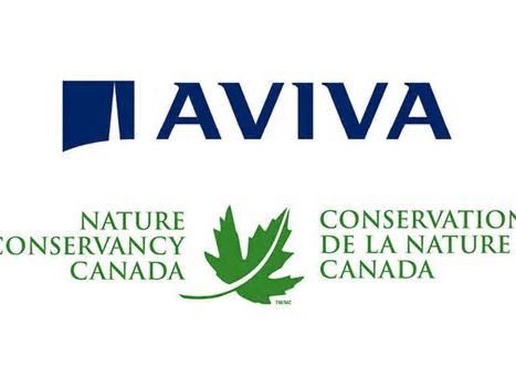 Aviva pledges $6M to Nature Conservancy of Canada for conservation and nature-based carbon removal projects