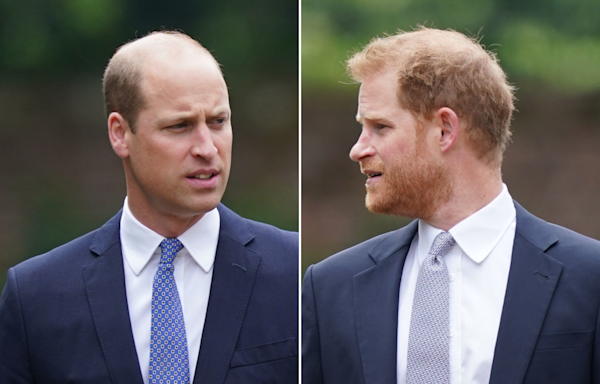 Prince William and Harry could come face to face at family funeral