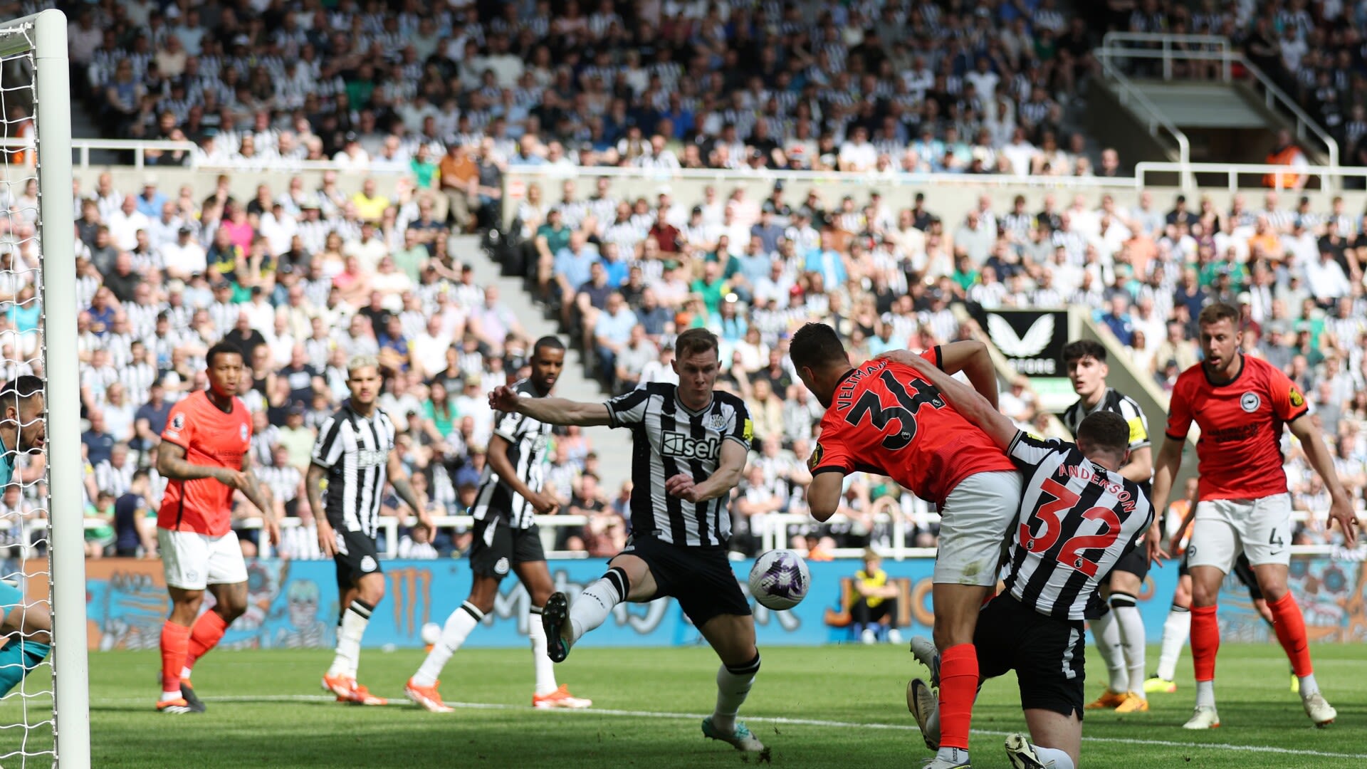 Newcastle 1-1 Brighton LIVE Updates, score, analysis, highlights