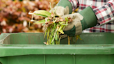 Free green waste collection promise