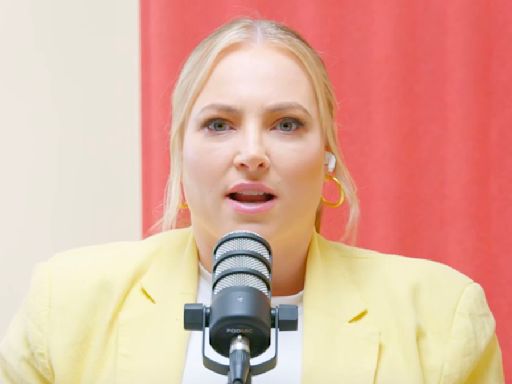 Instead Of Blasting The View, Meghan McCain Took Aim At Drew Barrymore For Kamala Harris Interview: '...