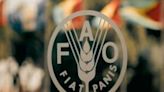 FAO gestiona capacitación para seguridad alimentaria en Cuba - Noticias Prensa Latina