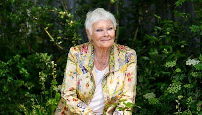 Meta in Talks to Use Voices of Judi Dench, Awkwafina and Others for AI