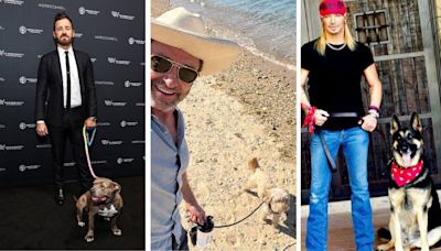 5 Adorable Celebrity Pet Dads You Just Have to See to Believe