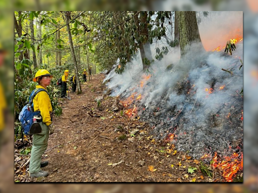 Beury Mountain Fire burns in the New River Gorge National Park and Preserve