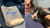 Virginia Hospital Staff Helps Rescue 6-Week-Old Kitten Abandoned in Paper Bag Inside Dumpster