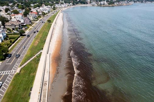 King’s Beach in Lynn has the worst water quality rating of any beach in the state. Here’s why. - The Boston Globe