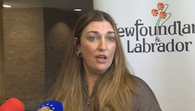 N.L. will 'step up' to implement new shelter standards, Fred Hutton says