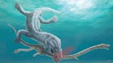 Long-necked dinosaur-era sea monsters were vulnerable to decapitation by predators, fossil confirms