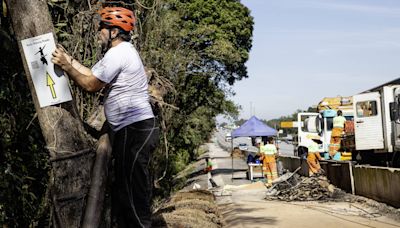 Com ciclovia na Imigrantes, ciclistas inauguram rota que liga SP ao litoral neste domingo (28)