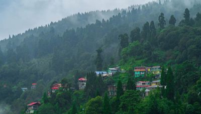 Cooking in the clouds: Embracing the monsoon bounty in Takdah, Darjeeling