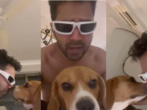 Varun Dhawan’s Dog Joey Showers Him With Kisses, As They Dance Together; Watch - News18