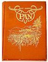 Pan (novel)