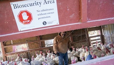 What’s More Deadly—a New H5N1 Flu or the Republican Party?