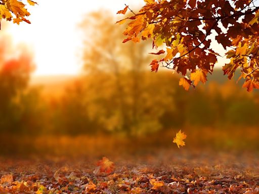 When does fall start? A look at the autumn equinox 2024