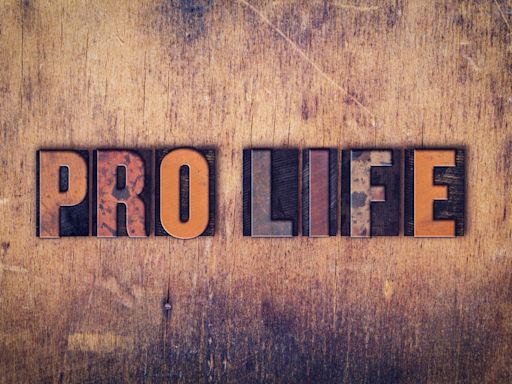 Stand Up for the Pro-Life Persecuted - The American Spectator | USA News and Politics