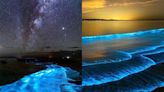 Captan hermosas olas bioluminiscentes en Baja California Sur