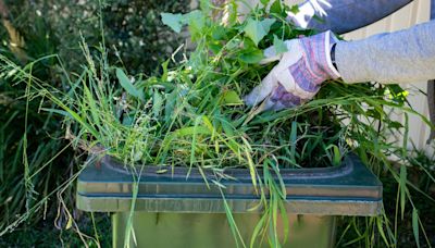 Residents to pay £56 for garden waste collections