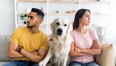 Should you get a pet nup? How the law deals with your fur baby if you break up with your partner