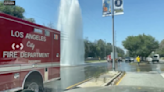 Sheared fire hydrant gushes water in Encino