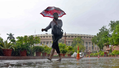 WATCH: Delhi Parliament seen leaking after the national capital receives over 100 mm of rainfall in 24 hours | Business Insider India