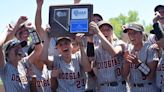 Douglas three-peats as Regional softball champion; Tigers down Spanish Springs 7-0 in the final