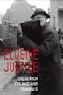 Elusive Justice: The Search for Nazi War Criminals