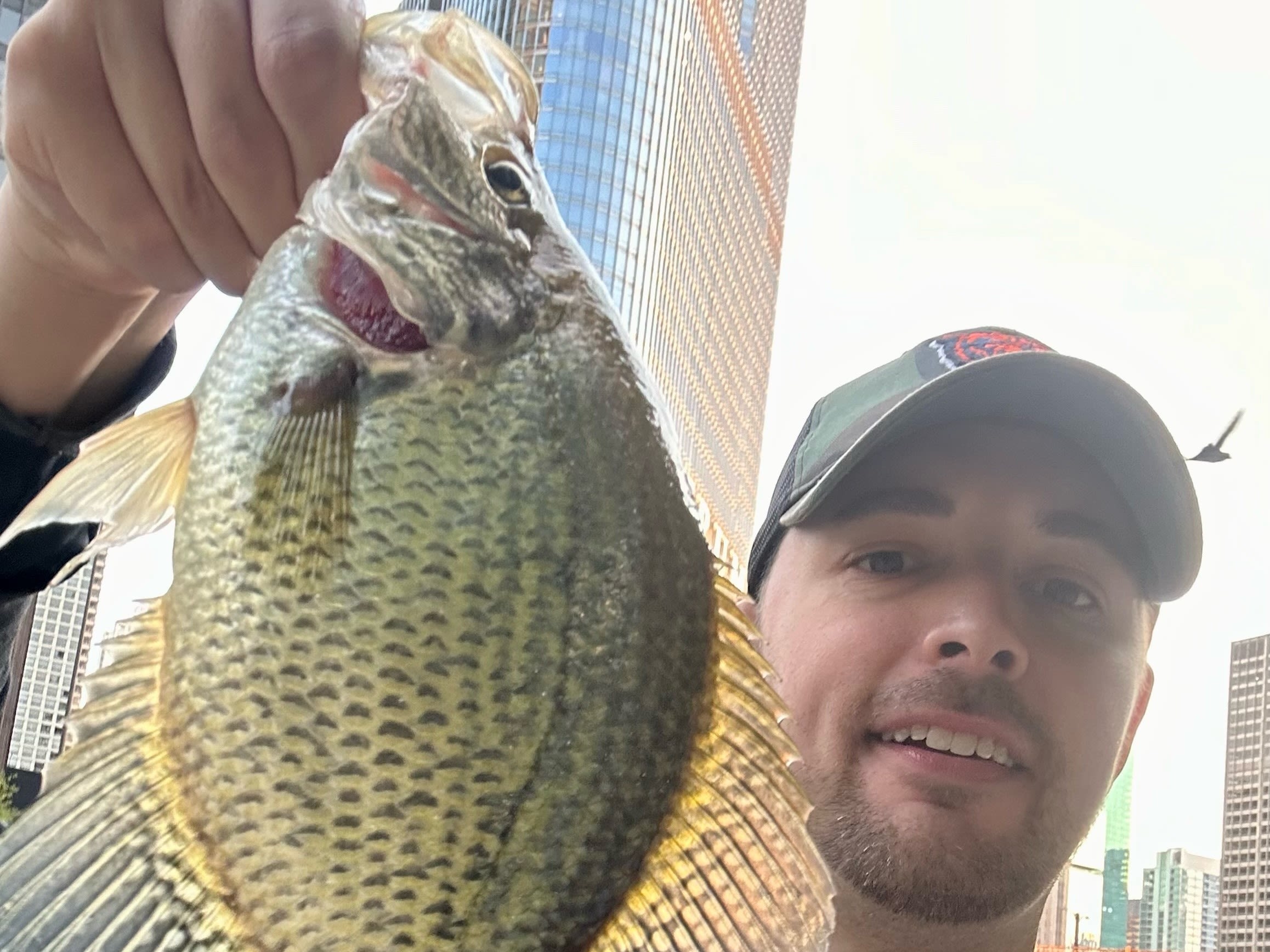 Chicago fishing: Shoreline salmon & trout, summery temps bring low warm water inland