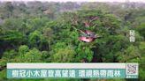 來去雨林住一晚 秘魯樹冠小木屋呼籲保育