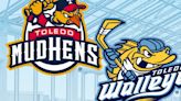 Mud Hens, Walleye to take over Main Library this weekend