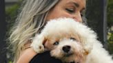 Ode to an old dog: Melbourne woman remembers bichon that lived 2 decades