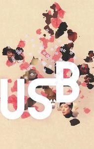 USB