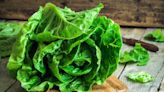 Les astuces pour garder une salade fraîche le plus longtemps possible