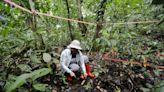 Barro Colorado, la isla laboratorio en el Canal de Panamá que estudia la crisis climática