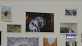 Duluth Art Institute's Youth Art Club Presents Photography Showcase - Fox21Online