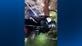 Man rescued after pickup truck crashes into tree in Collier Township