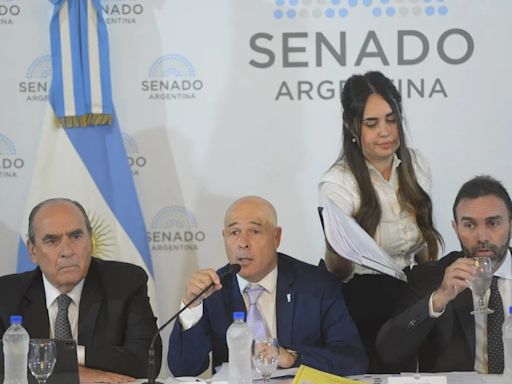 Comenzó el debate de la Ley Bases en el Senado con una polémica por el texto que envió la Cámara de Diputados