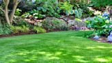 7 expert tips to make your lawn look amazing this summer