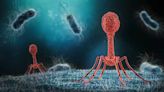 Scientists Shed Light on How Viruses Ensure Their Survival