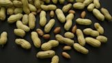 Feeding peanuts to young children could reduce allergy risk: study