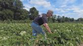 Linvilla Orchards farmers in Delaware County rely on water, shade and rest to stay safe during heat wave