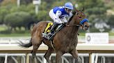 3-year-old Nysos to miss month's training, unlikely for Santa Anita Derby