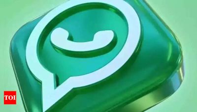 WhatsApp to soon roll out a preview feature for pinned messages: All details - Times of India