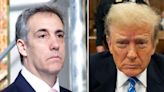 ... All About the Campaign': Michael Cohen Claims Donald Trump Didn't Care if Melania Found Out About Alleged Affair With...