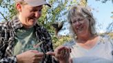 Want to see Boise birds up close? Here, you can feel a wren in the palm of your hand