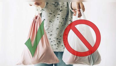 International Plastic Bag Free Day: Four startups that are creating alternatives to plastic - CNBC TV18